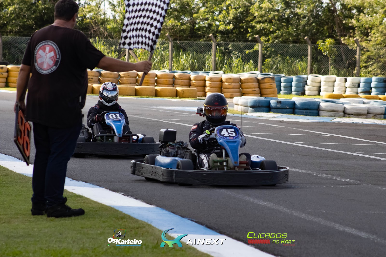 AINEXT MYRMEX - Masters